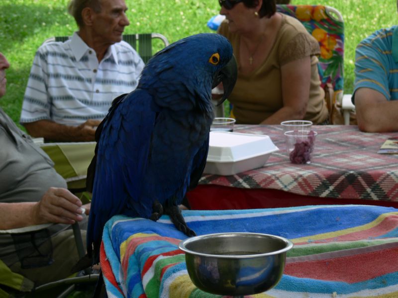 P1020359